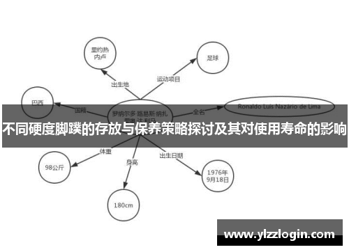 不同硬度脚蹼的存放与保养策略探讨及其对使用寿命的影响
