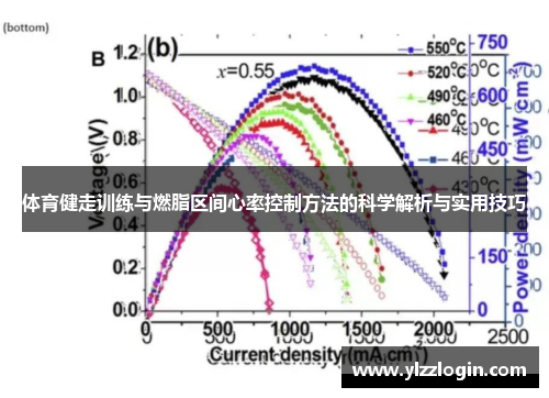 体育健走训练与燃脂区间心率控制方法的科学解析与实用技巧